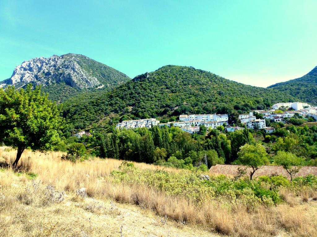 Casa Rural El Aljibe Benamahoma Luaran gambar