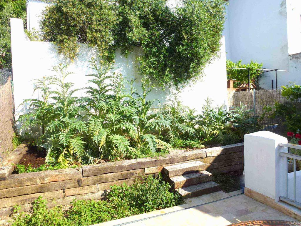Casa Rural El Aljibe Benamahoma Luaran gambar
